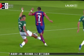 华体会体育-关于阿拉维斯实现大逆转，喜获保级宝座的信息