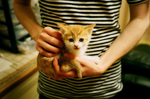 华体会app-唯一通往八强之路，卡拉斯科的铁骑击穿南美巫师迷宫  第2张